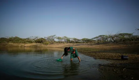 Internacional: Fenómeno del niño regresaría a fin de año y temperaturas aumentarían 1,5 °C en 2024