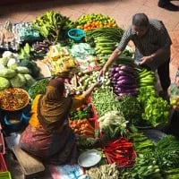 Internacional: Los precios mundiales de los alimentos bajan durante diez meses consecutivos, se prevé que la oferta de cereales se reduzca