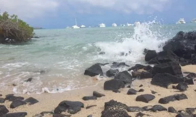INOCAR advierte cambio de estado del mar este 28 de febrero