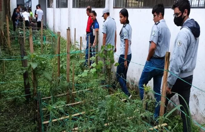 Estudiantes con discapacidad impulsan huertos urbanos