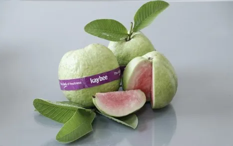 Internacional: "La guayaba roja sería una fruta exclusiva y exótica en el mercado europeo"
