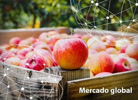 Resumen del mercado global de la manzana