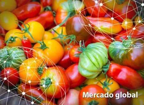 Resumen del mercado global del tomate