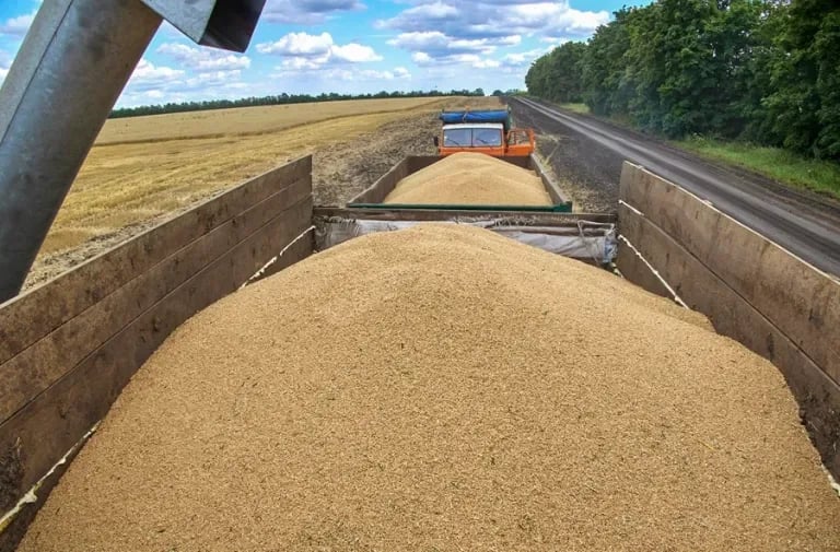 Internacional: El cereal de Ucrania, arma de guerra y símbolo de la debilidad de los mercados