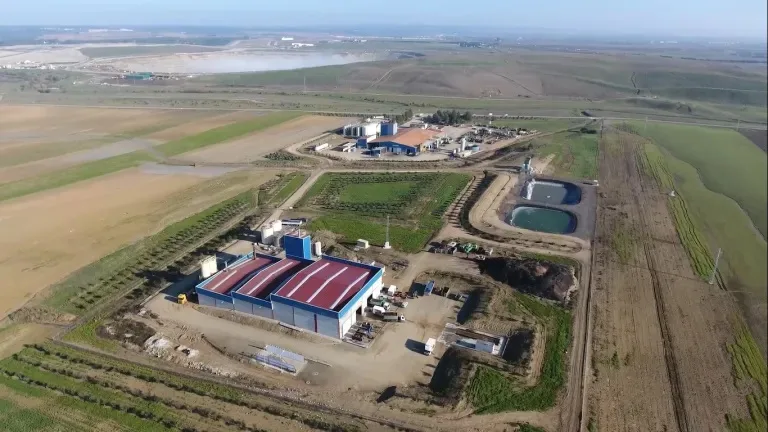 Internacional: El ganado muerto en granja, una fuente de miles de toneladas de biodiésel