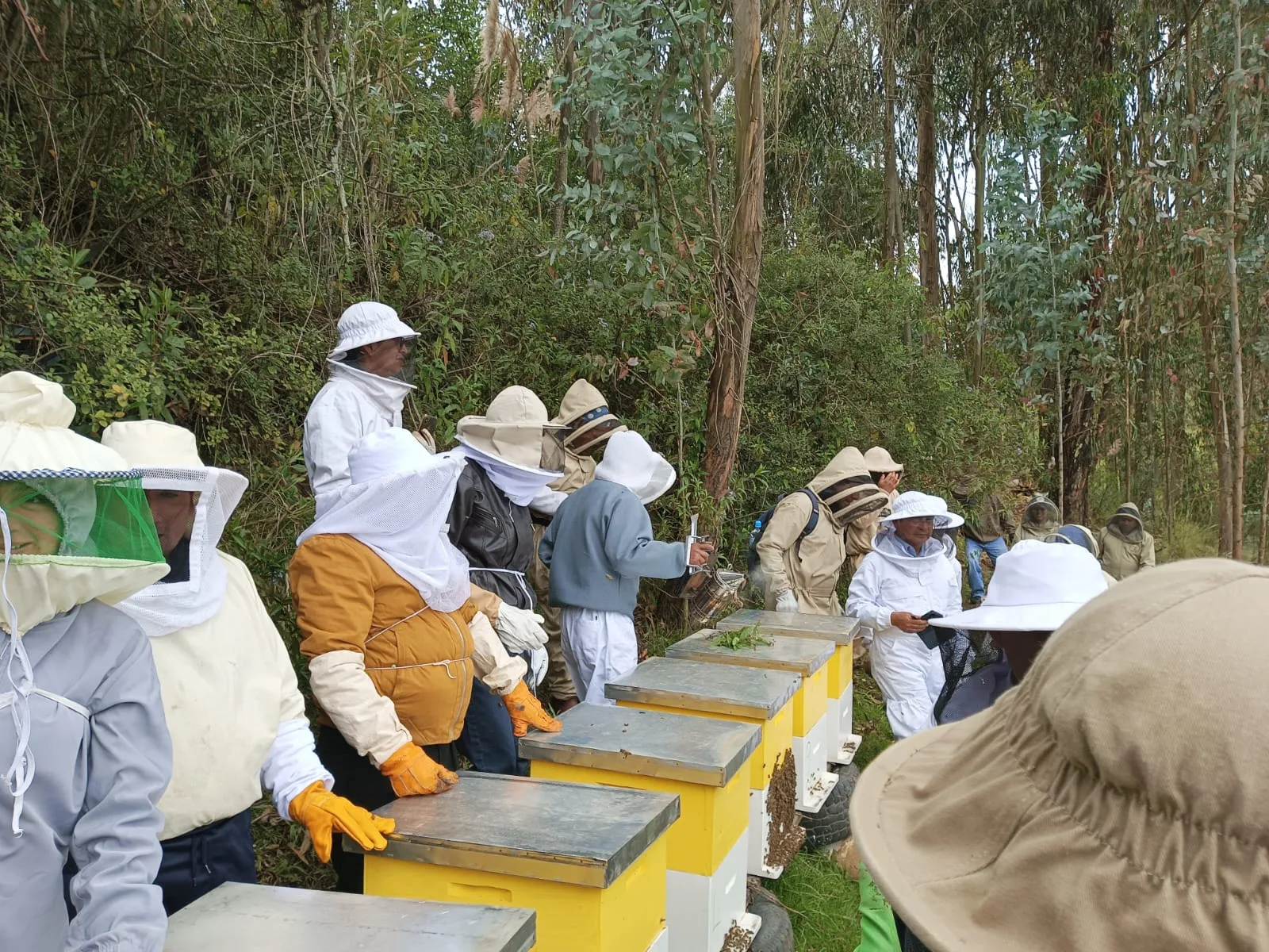 Apicultores de Ecuador y Perú buscan alternativas para el sector