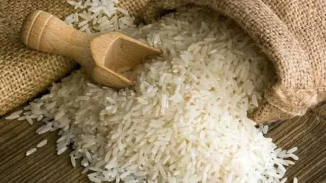 Internacional: Productores peruanos podrían exportar hasta 100 mil toneladas de arroz al mercado colombiano