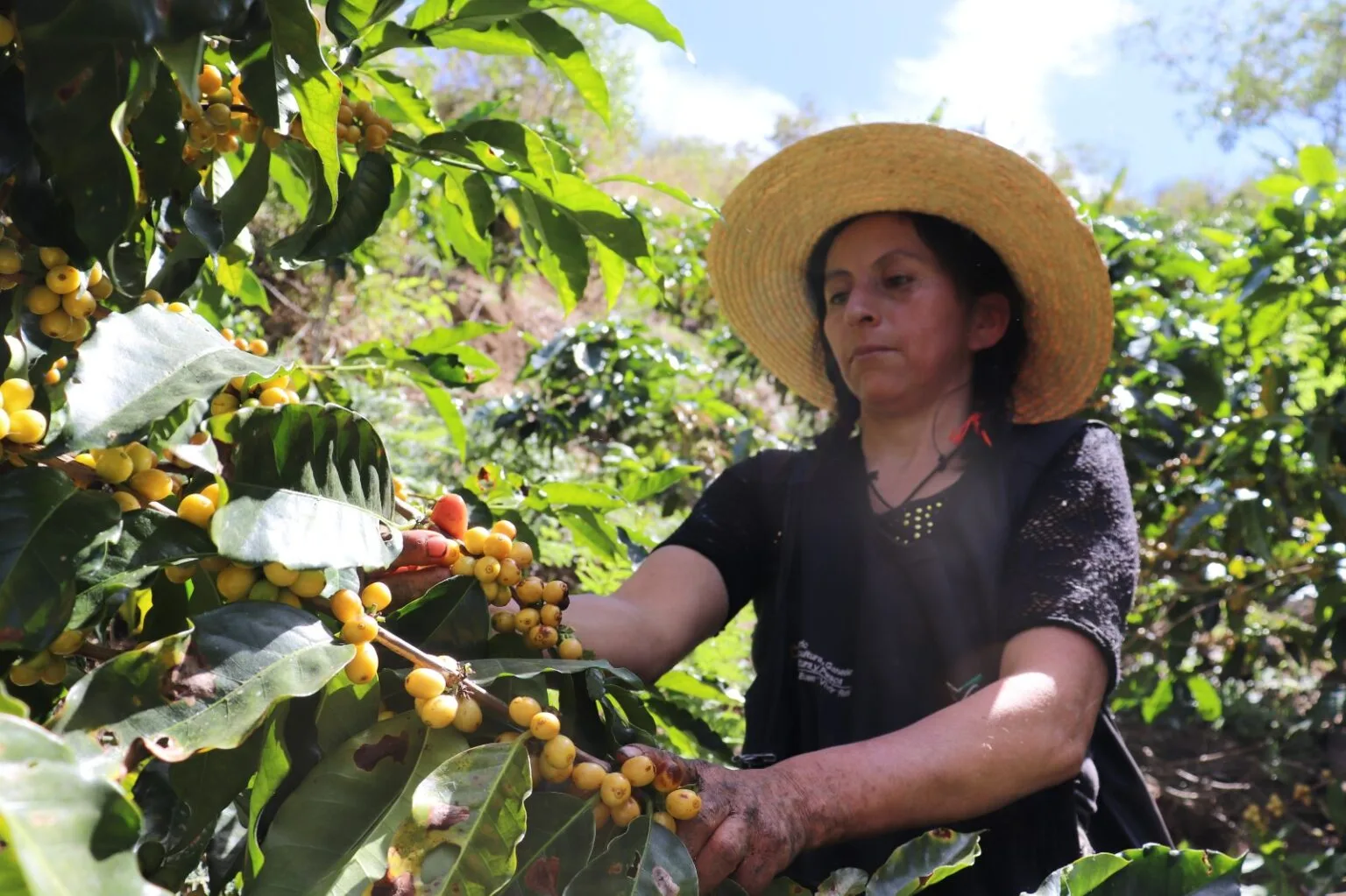 Mujeres de Espíndola presentaron emprendimientos elaborados a mano