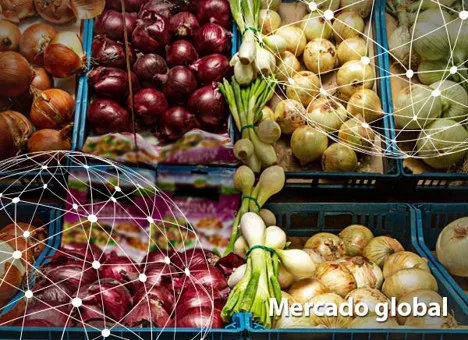 Resumen del mercado global de la cebolla