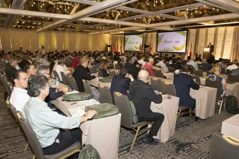 Internacional: Representantes de la industria bananera mundial volverán a encontrarse para analizar nuevas rutas y retos comerciales