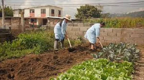 ECUADOR: Mujeres rurales participarán en diálogo nacional en el marco del Día Internacional de la Mujer