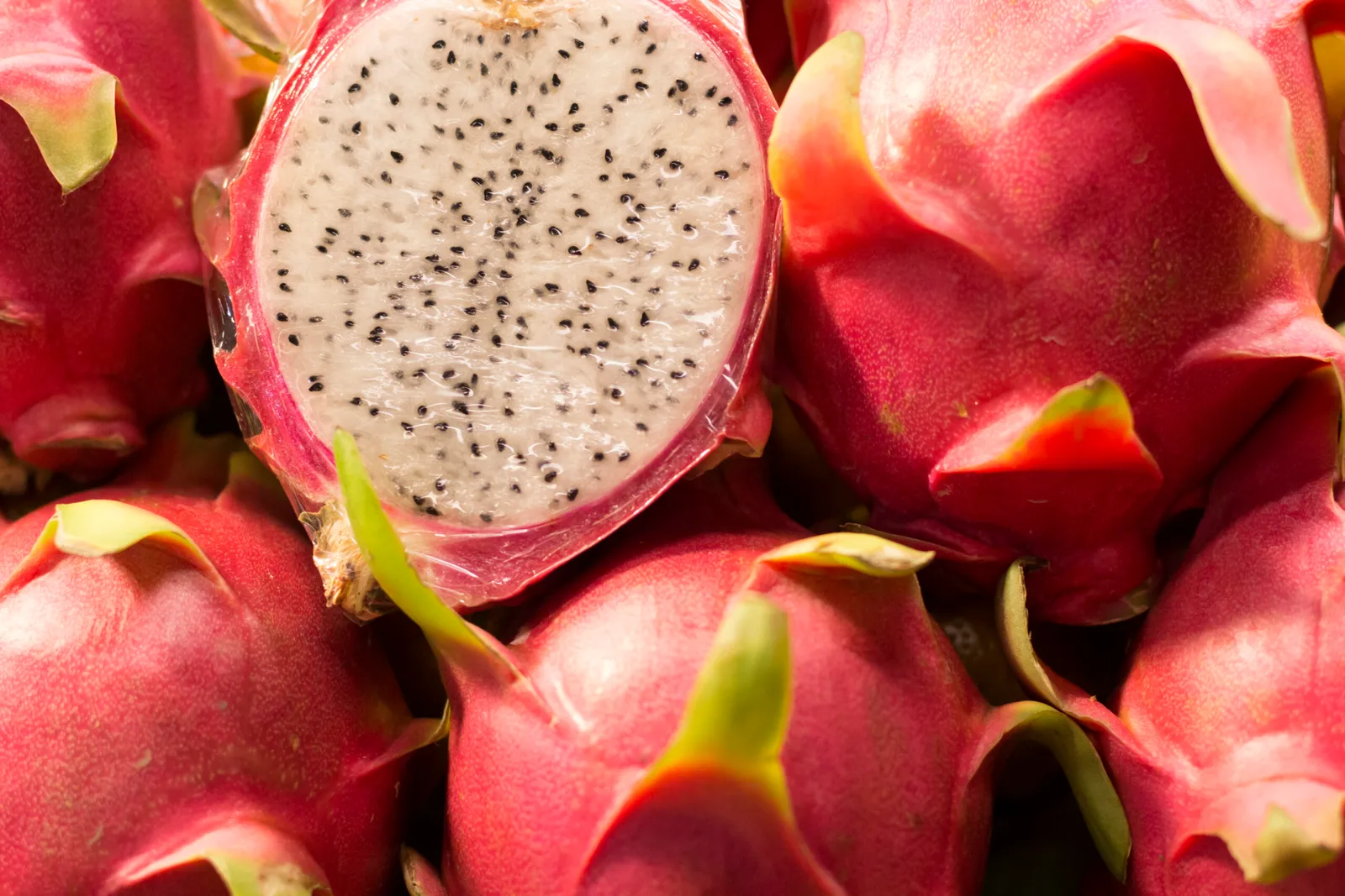 Ecuador busca mitigar la sobre producción de pitahaya con nuevos mercados