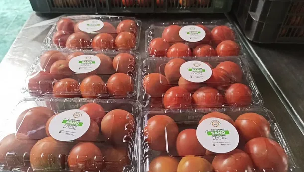 Empresa que produce frutas, verduras y miel orgánicas recibió el sello de Agricultura Familiar y Campesina
