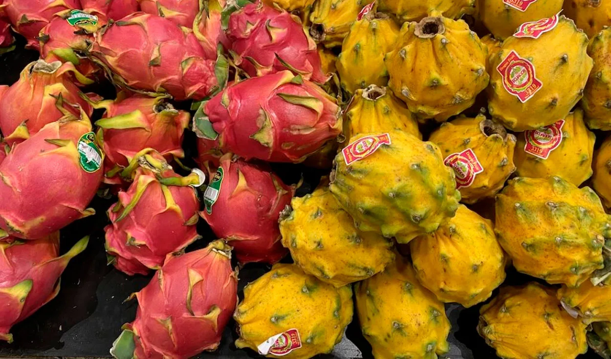 Pitahaya ecuatoriana entrará al mercado chino