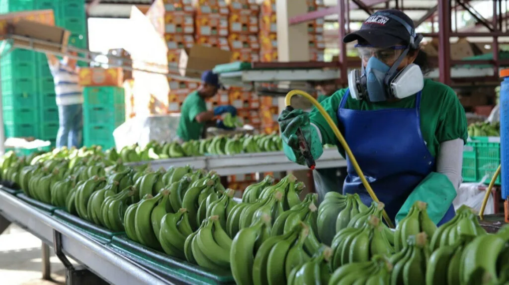 Ecuador con superávit en su balanza comercial del primer bimestre