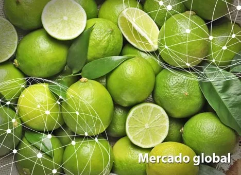 Resumen del mercado global de la lima