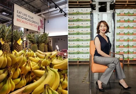 Internacional: El incremento de los costes sigue presionando a los productores y expedidores de banano ecológica