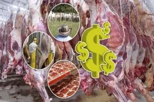 Internacional: ¿Quién recibe lo que usted paga por cada kilo de carne?