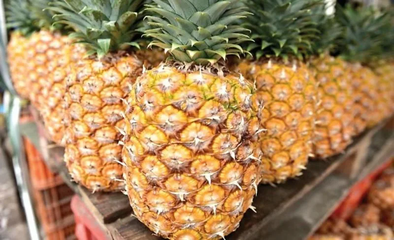 Resumen del mercado global de la piña