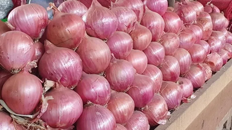 Internacional: Perú exportó cebolla en fresco por US$ 17.8 millones en el primer trimestre de 2023