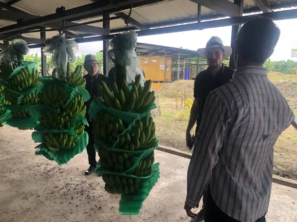 Con Hungría se ven oportunidades para café, camarón, banano, flores y frutas