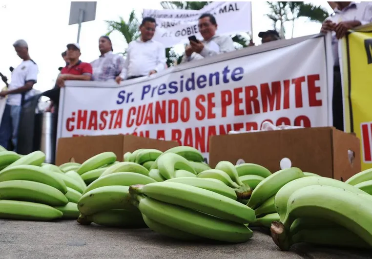 Con plantón en Guayaquil, bananeros insisten en que solo reciben $ 2 o $ 3 por caja de banano