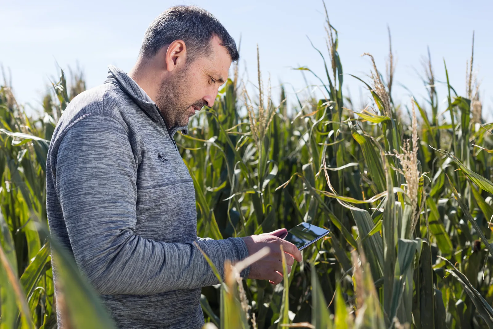 Agricultura inteligente, una solución para mejorar el rendimiento