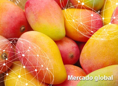Resumen del mercado global del mango