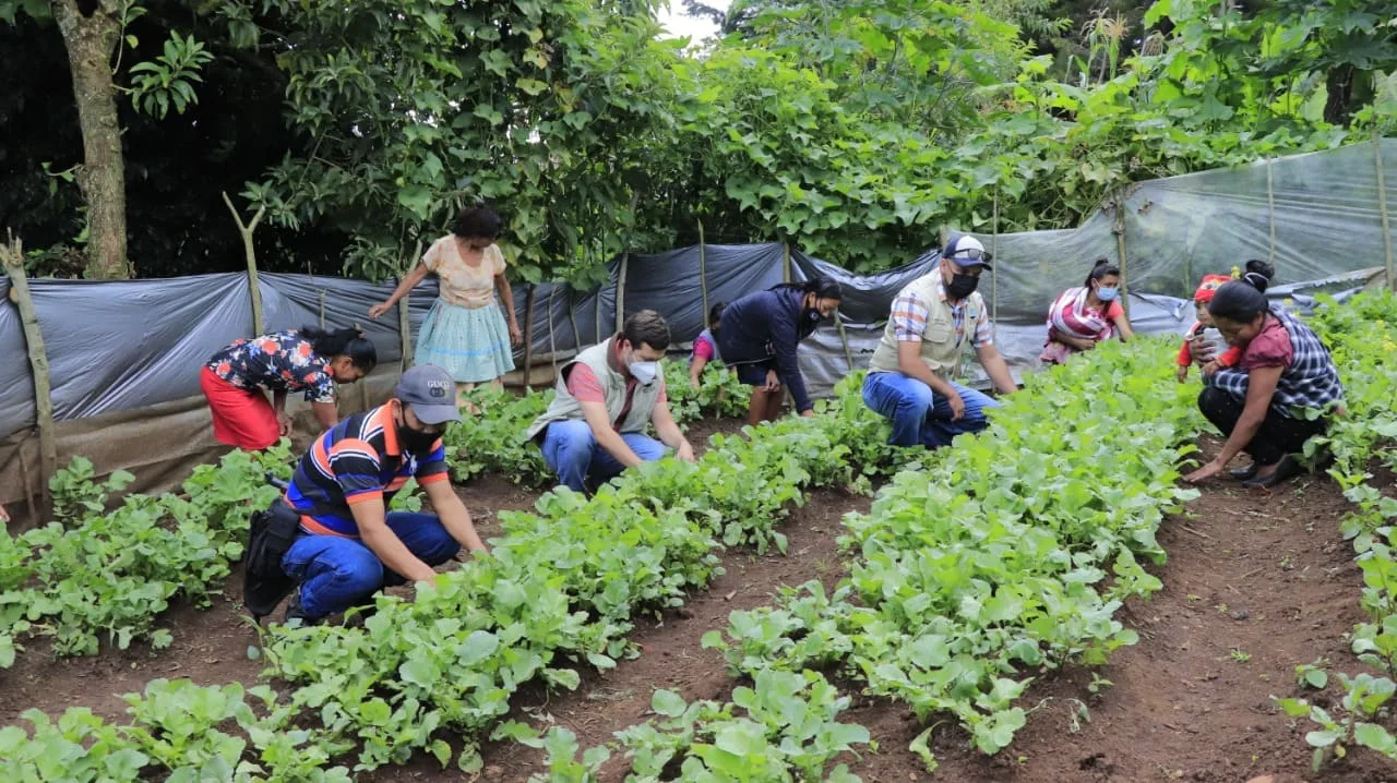 Ecuador participa en el Congreso Internacional de Alimentación Escolar
