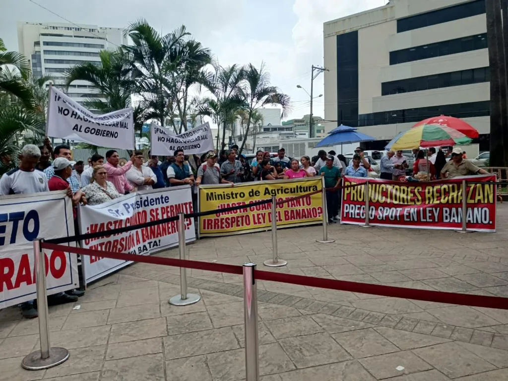 Productores bananeros piden se cumpla con la ley