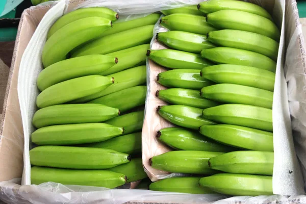 Sector bananero ecuatoriano podría entrar en crisis