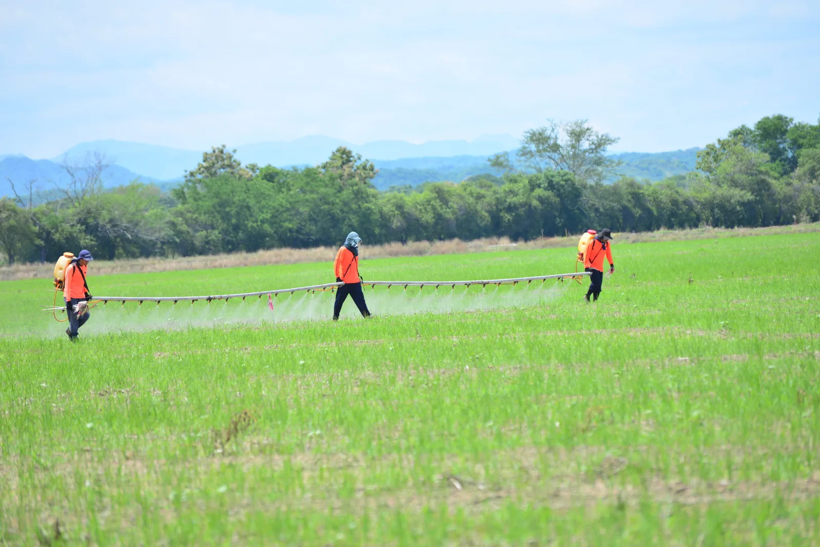 Internacional: Alianza regional impulsa la agricultura sostenible