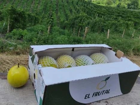 Menor exportación de frutas exóticas ecuatorianas a EE. UU. debido al aumento de la producción en Florida