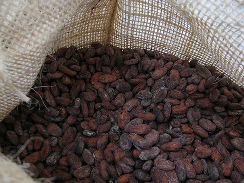 Los índices de trazabilidad del cacao de Costa de Marfil no mejoran ante la inminente entrada en vigor de la ley antideforestación de la UE.
