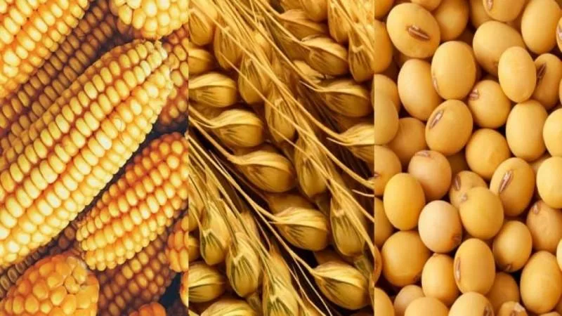 Las materias primas agrícolas se disparan a máximos de dos años por el cierre de Hormuz