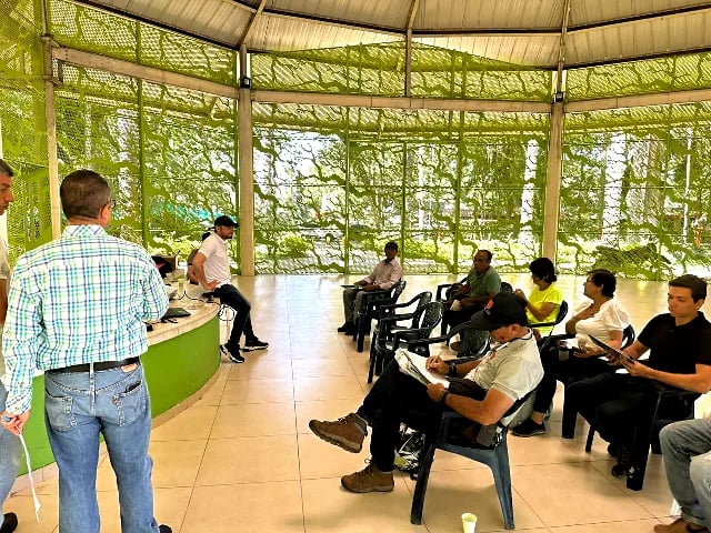 Internacional: En el Valle del Cauca, el ICA adelanta acciones de comunicación del riesgo en cultivos de musáceas