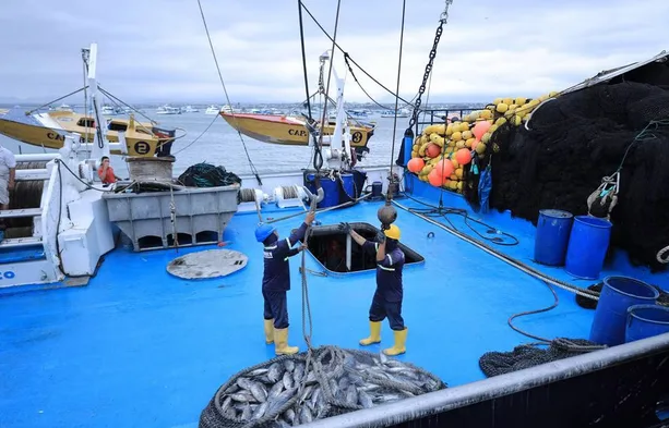 Tras casi tres años de vigencia se busca actualizar el Plan Nacional de Control Sanitario de Acuicultura y Pesca