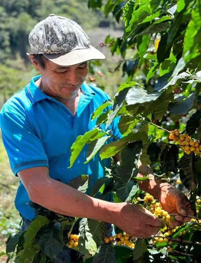 Conversatorio y exposiciones sobre el café de especialidad se promocionan en Loja
