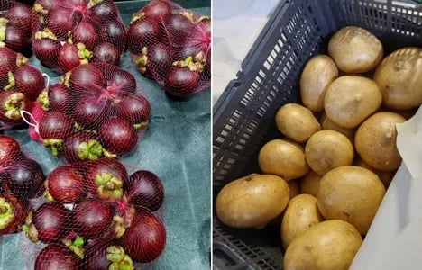 Internacional: La mayor disponibilidad de productos exóticos poco comunes impulsa la demanda