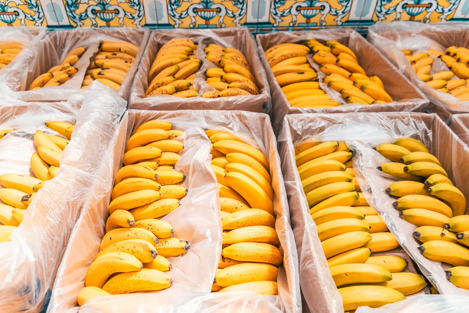 INTERNACIONAL: Las exportaciones de bananas de Colombia a la UE tropiezan en 2023