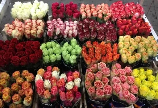 El fenómeno del Niño puede impactar en la producción de flores
