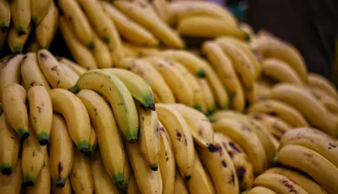 Internacional: Harina de banano extruida, una solución para aprovechar el producto de rechazo