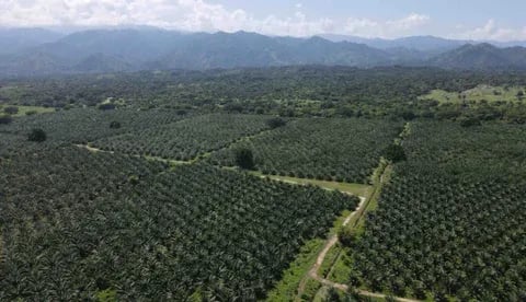 Ecuador está experimentando una revolución verde con la adopción masiva de insumos biológicos