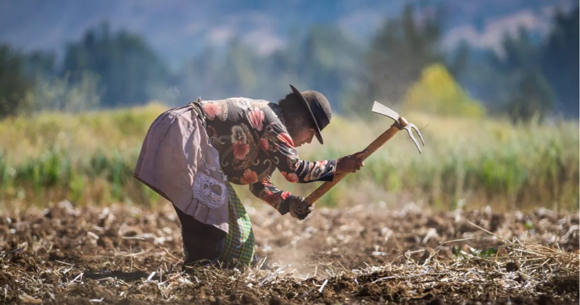 El Día mundial de la agricultura, una reflexión sobre su importancia a nivel Global
