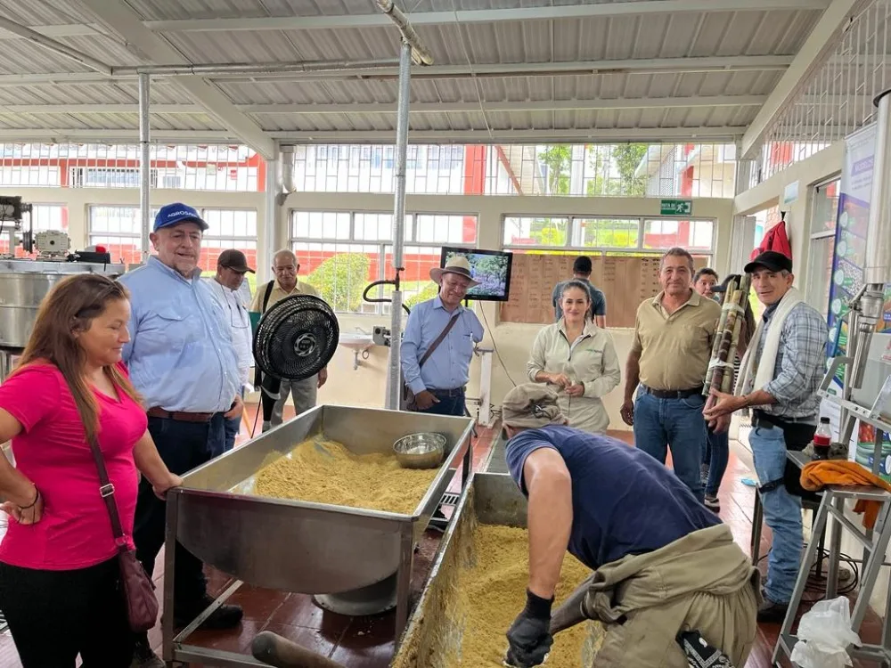 Internacional Colombia: AGROSAVIA impulsa investigación participativa de variedades promisorias de caña de azúcar para producción de panela