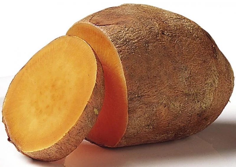 Internacional: Exportación de camote peruano suma US$ 1.9 millones entre enero y julio de 2023