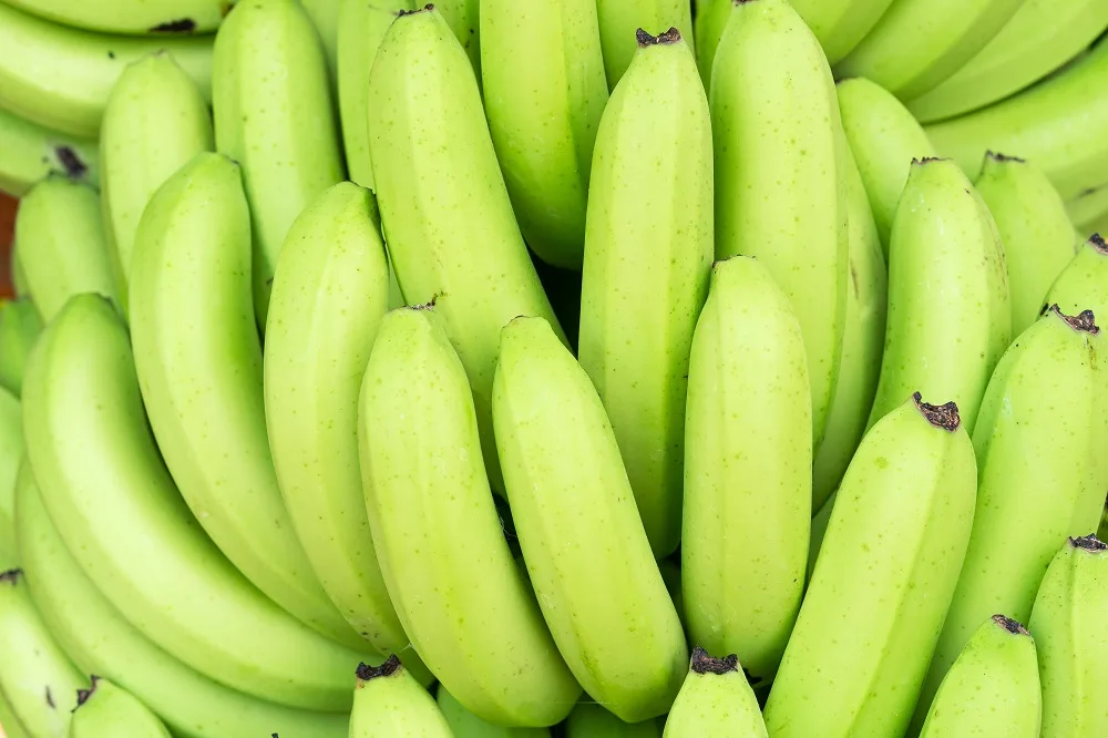 INTERNACIONAL: El sector bananero de Colombia ve en Asia una nueva ventana comercial