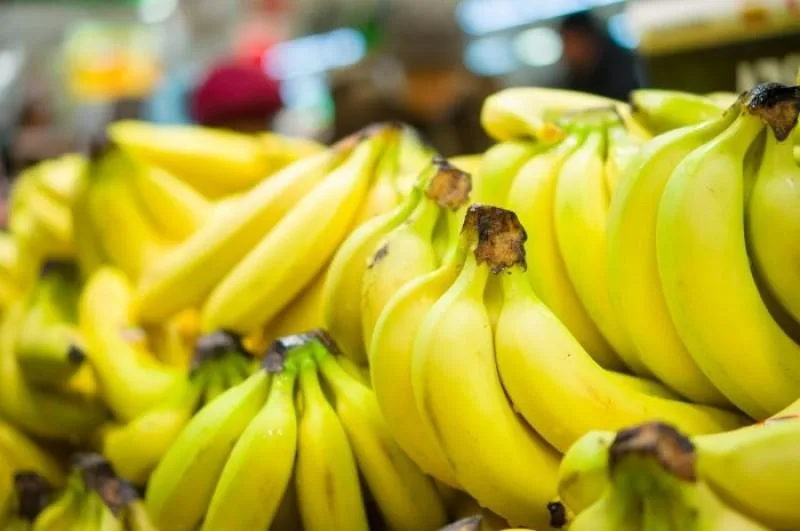Ecuador experimenta un aumento en las exportaciones de banano