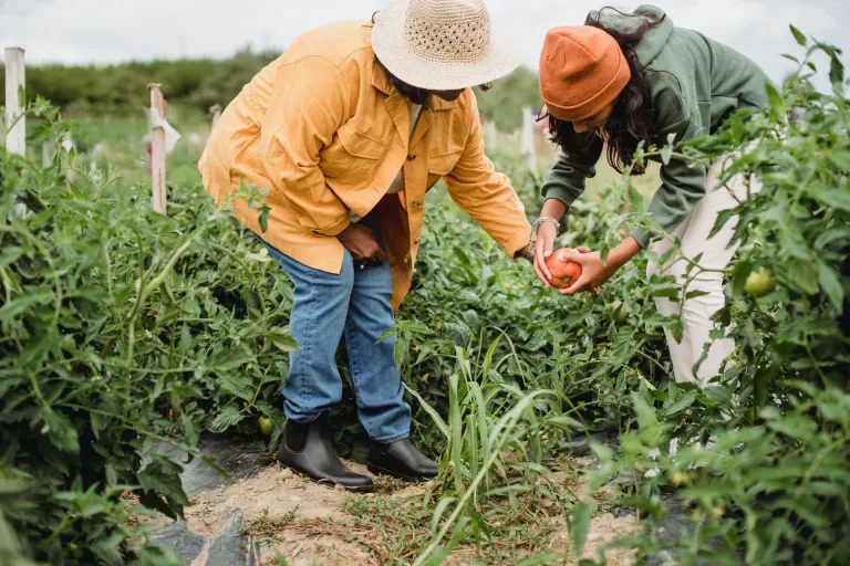Mujeres sayausi preservan 40 variedades de semillas nativas