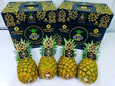 Internacional: Costa Rica aumenta sus exportaciones de piña tras el descenso de la producción
